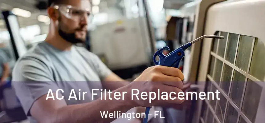 AC Air Filter Replacement Wellington - FL