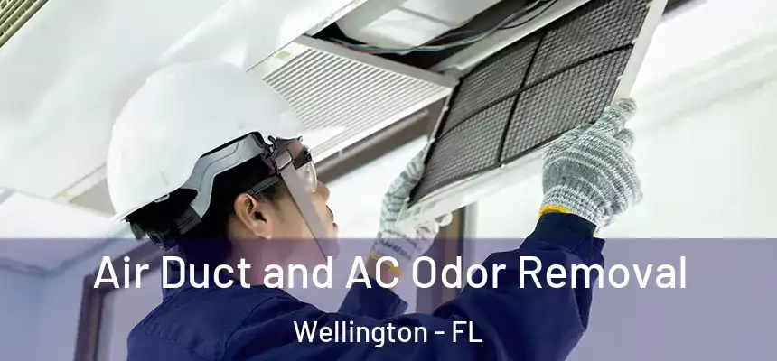 Air Duct and AC Odor Removal Wellington - FL