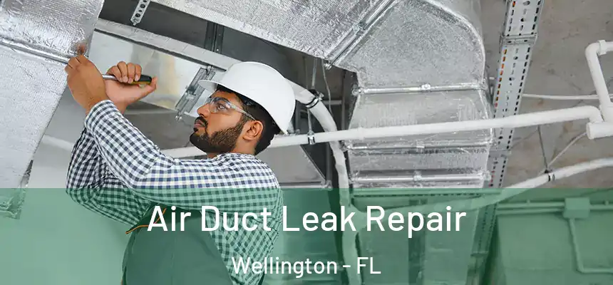 Air Duct Leak Repair Wellington - FL