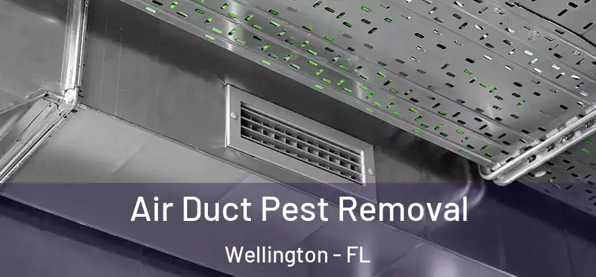 Air Duct Pest Removal Wellington - FL