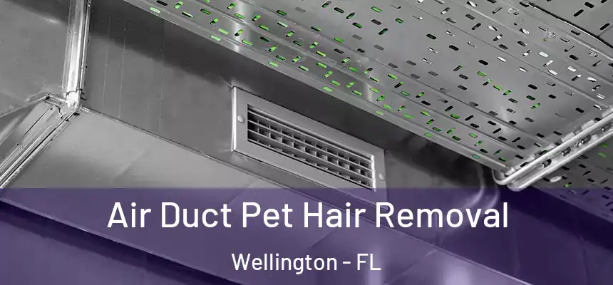 Air Duct Pet Hair Removal Wellington - FL