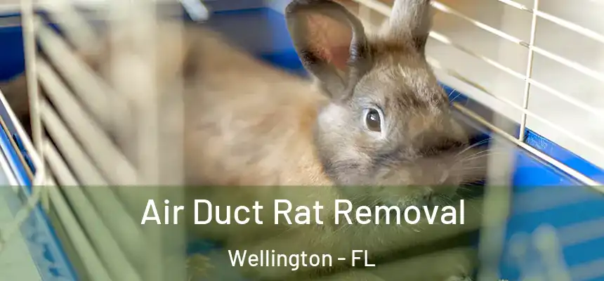 Air Duct Rat Removal Wellington - FL