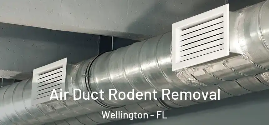 Air Duct Rodent Removal Wellington - FL