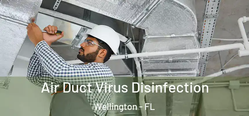 Air Duct Virus Disinfection Wellington - FL