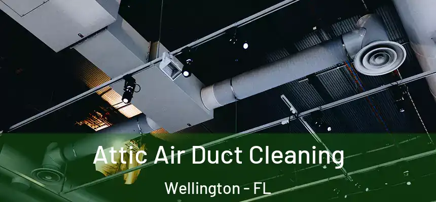 Attic Air Duct Cleaning Wellington - FL