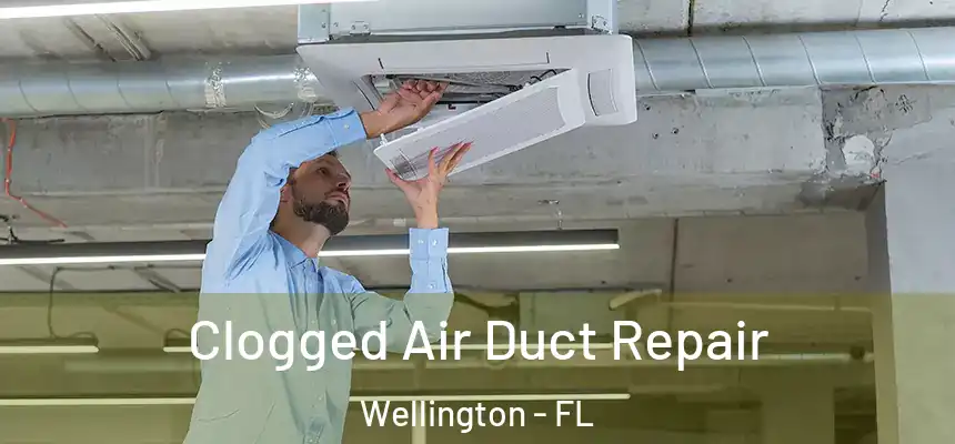 Clogged Air Duct Repair Wellington - FL