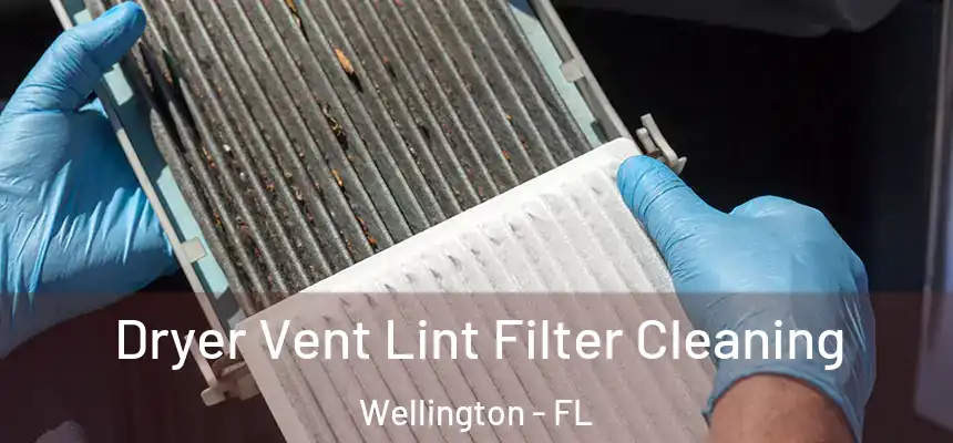 Dryer Vent Lint Filter Cleaning Wellington - FL