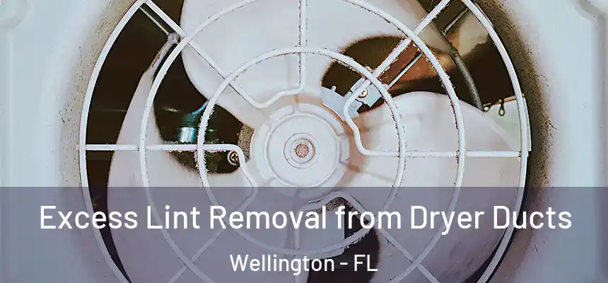 Excess Lint Removal from Dryer Ducts Wellington - FL