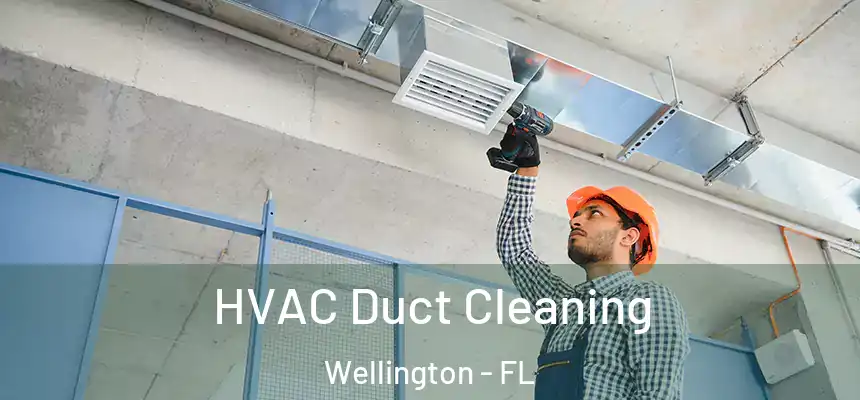 HVAC Duct Cleaning Wellington - FL