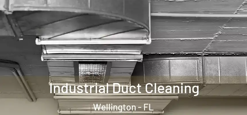 Industrial Duct Cleaning Wellington - FL