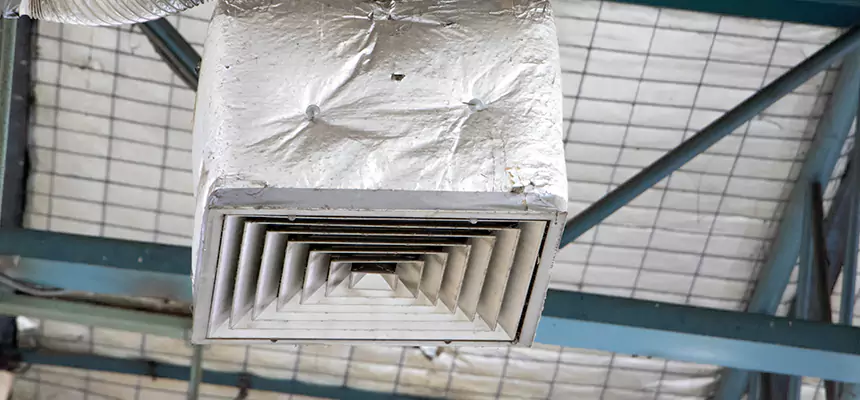 Our HVAC Mold Remediation Service Services in Wellington, FL