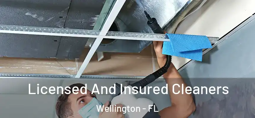 Licensed And Insured Cleaners Wellington - FL
