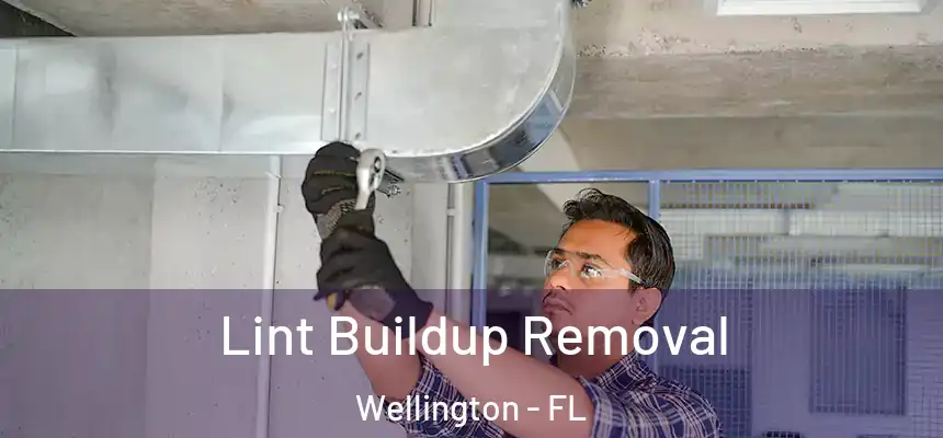 Lint Buildup Removal Wellington - FL