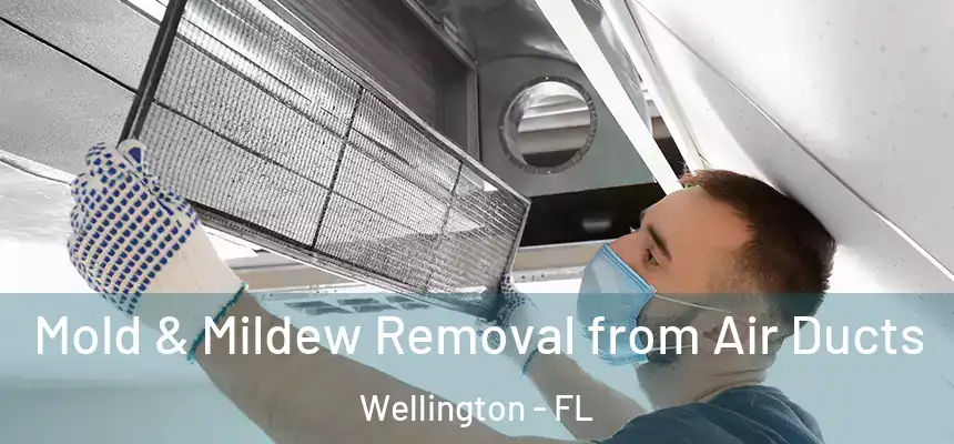 Mold & Mildew Removal from Air Ducts Wellington - FL
