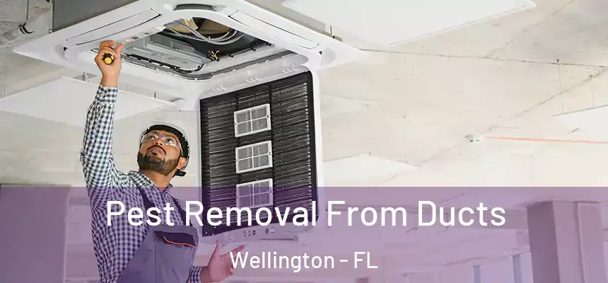 Pest Removal From Ducts Wellington - FL