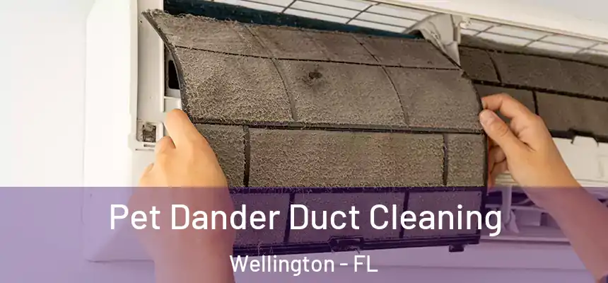 Pet Dander Duct Cleaning Wellington - FL