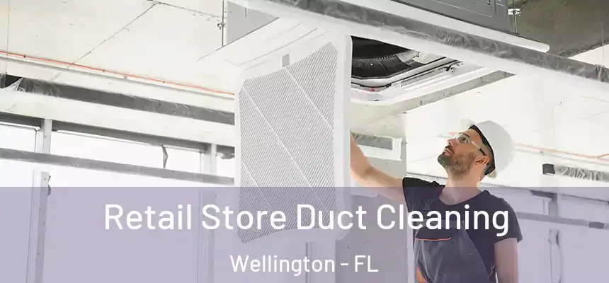 Retail Store Duct Cleaning Wellington - FL