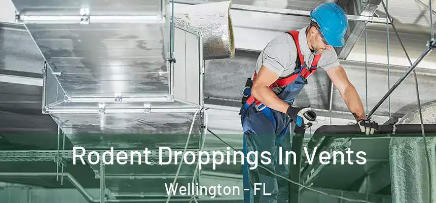 Rodent Droppings In Vents Wellington - FL