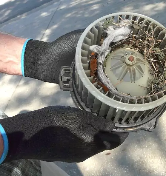 About Air Duct Mice Removal in Wellington, FL