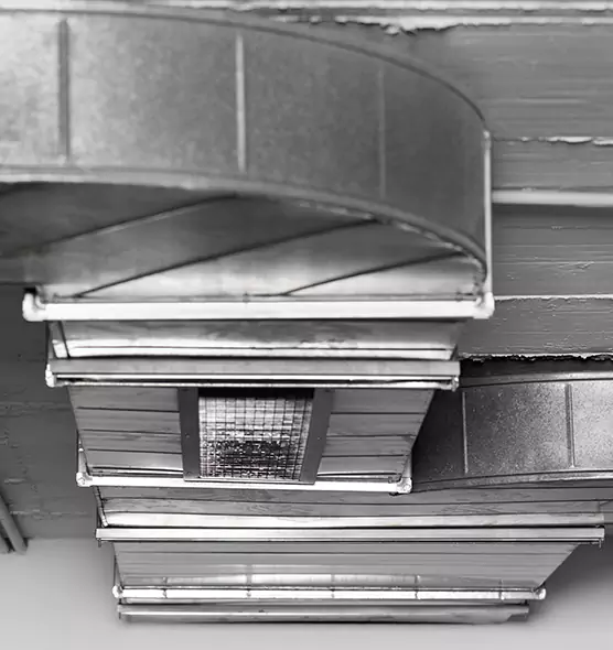 Professional Air Duct Pet Hair Removal in Wellington, FL
