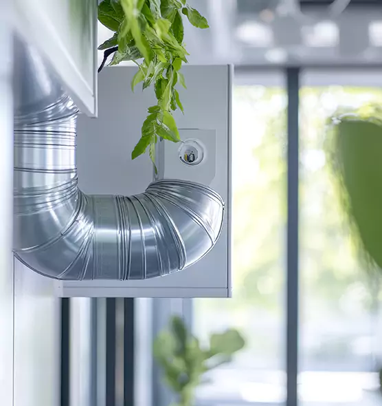 Professional Eco-Safe Dryer Vent Cleaning in Wellington, FL