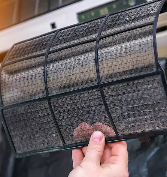 About Pet Dander Duct Cleaning in Wellington, FL